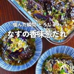A picture of ナスの香味ねぎだれ.