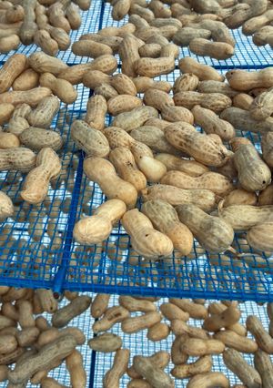 煎り落花生🥜-レシピのメイン写真