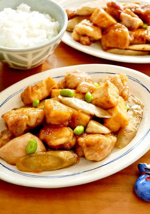 鶏ごぼうと厚揚げの甘辛炒め-レシピのメイン写真