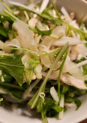 新玉ねぎと水菜のサラダ-レシピのメイン写真