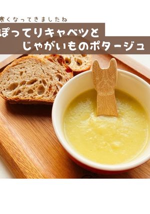 ぽってりキャベツとじゃがいものポタージュ-レシピのメイン写真