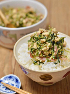 豆苗とベーコンの炒り豆腐-レシピのメイン写真