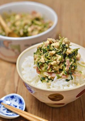 豆苗とベーコンの炒り豆腐-レシピのメイン写真