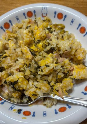 高菜ハム卵のレンチン炒飯-レシピのメイン写真