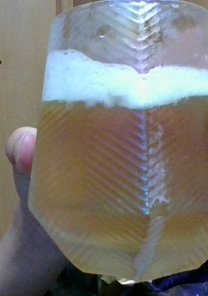 子供も飲める！？簡単ビールの作り方🍺-レシピのメイン写真