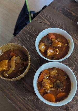 鶏肉と茄子と根菜のハヤシカレー🍛-レシピのメイン写真