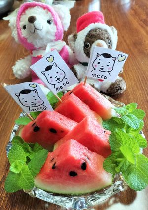 【猫村さん】【スイカ】可愛いね✨-レシピのメイン写真