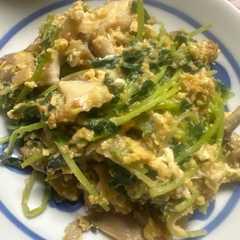 รูปของ 豆苗ときのこと玉子の 中華炒め