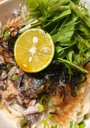 鯖と大根サラダのおろしだし醤油うどん-レシピのメイン写真