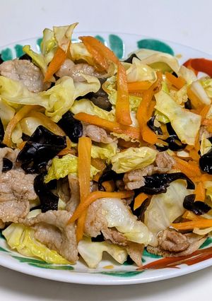 蒙古タンメンに乗せる肉野菜炒め-レシピのメイン写真