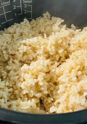 玄米➕餅米（大さじ2）でもちもち玄米ご飯-レシピのメイン写真