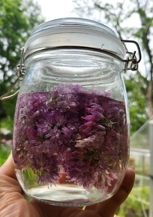 Chive Vinaigrette-レシピのメイン写真