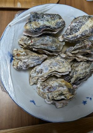レンジで蒸し牡蠣-レシピのメイン写真