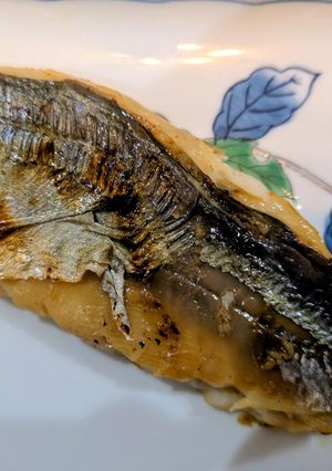 魚の味噌漬け-レシピのメイン写真