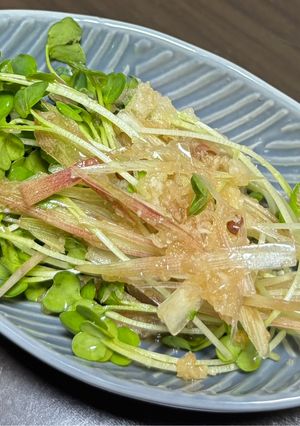 かいわれの茗荷のみぞれサラダ-レシピのメイン写真