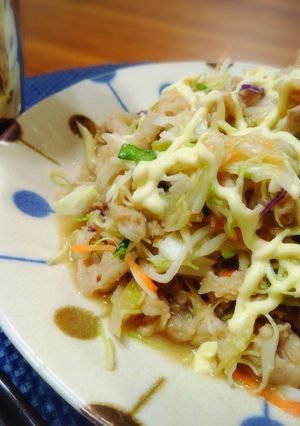 ＊ミックス野菜＆豚肉と長ねぎの味噌󠄀炒め＊-レシピのメイン写真