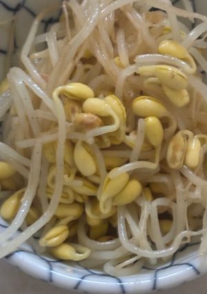 おつまみに是非！豆もやしのナムルパート2😋-レシピのメイン写真