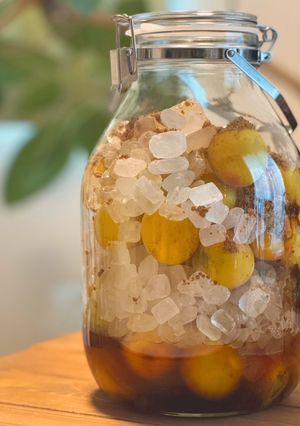 梅シロップ（芳醇な香りとコク深）まろやか-レシピのメイン写真