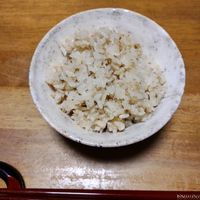 基本からアレンジまで！思わずつくりたくなる「高菜ごはん」のレシピ集