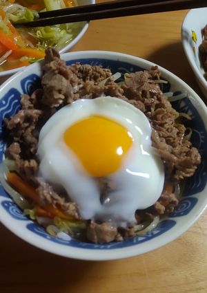 焼き肉のっけビビンバ-レシピのメイン写真