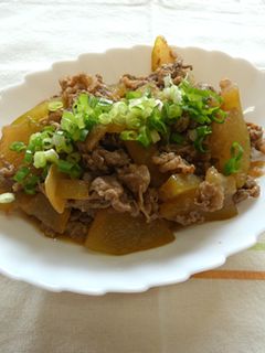 牛肉と冬瓜の炒め煮-レシピのメイン写真