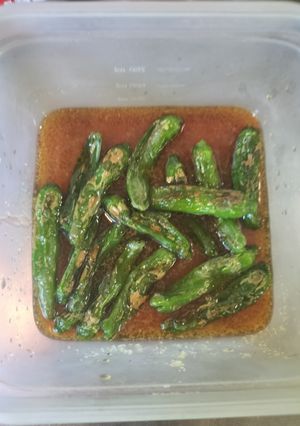 ししとうの焼きびたし-レシピのメイン写真