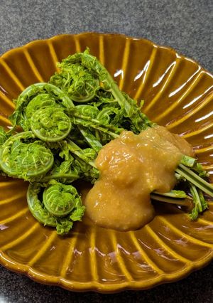 シンプルに山菜を食す♡こごみの酢味噌和え-レシピのメイン写真