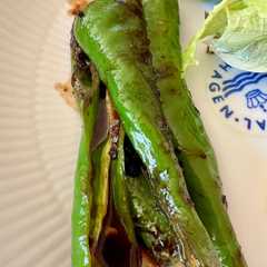 รูปของ 万願寺とうがらしの味噌炒め