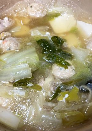 鶏肉と鶏団子の鍋-レシピのメイン写真