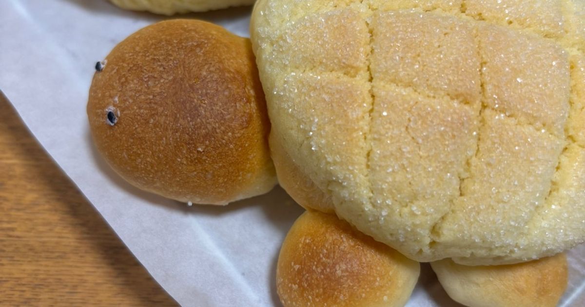 基本からアレンジまで！思わずつくりたくなる「かめメロンパン」の