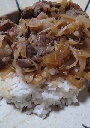 ！健康バッチリ！牛丼-レシピのメイン写真