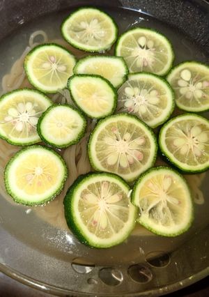 すっぽん柚子冷麺-レシピのメイン写真