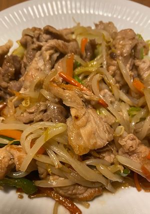 調味料4つだけの肉野菜炒め-レシピのメイン写真