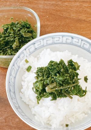 コシアブラご飯の素-レシピのメイン写真