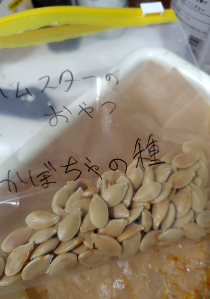 レンジで簡単！かぼちゃの種-レシピのメイン写真