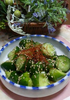 究極のポリポリ!賞味期限15分の塩だれきゅうり🥒-レシピのメイン写真