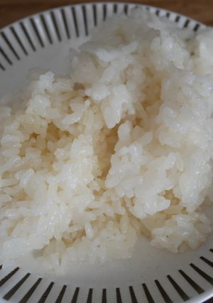 不器用白ワインと水で炊くご飯-レシピのメイン写真