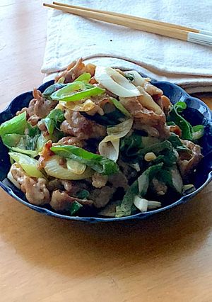 旨辛！豚こまと白ネギの味噌辛炒め-レシピのメイン写真