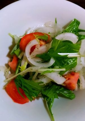 新玉ねぎと水菜とトマトのサラダ-レシピのメイン写真