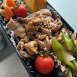 愛妻?弁当⑯(塩麹漬け豚こま他