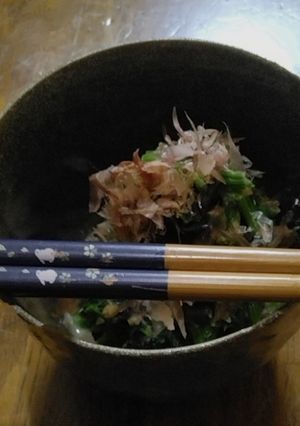 ほうれん草のお浸し-レシピのメイン写真