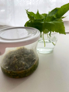 三つ葉大量消費⭐︎三つ葉味噌-レシピのメイン写真