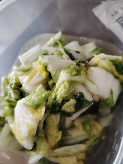 白だしでさっぱり白菜の浅漬け-レシピのメイン写真