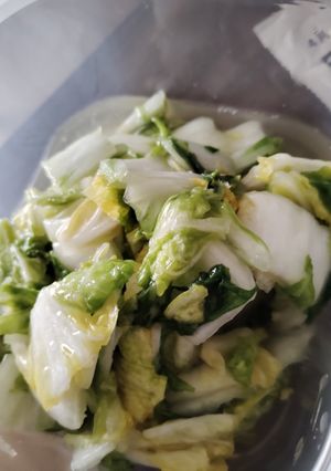 白だしでさっぱり白菜の浅漬け-レシピのメイン写真