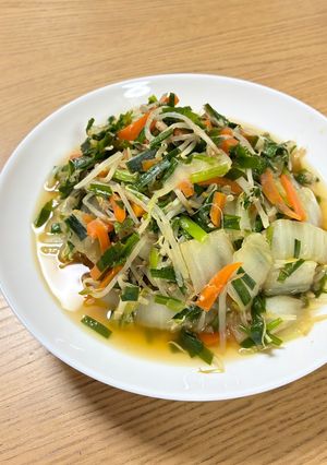 白菜とニラもやしの野菜炒め-レシピのメイン写真