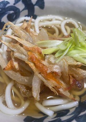 新玉ネギとごぼうのかき揚げうどん-レシピのメイン写真