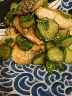 塩サバとキュウリの酢漬け-レシピのメイン写真