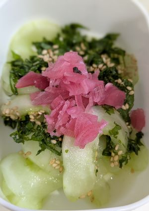 白瓜で酢の物・煮物・和え物-レシピのメイン写真
