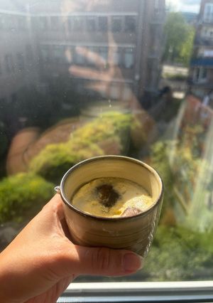 ちゃわん蒸し🍲-レシピのメイン写真