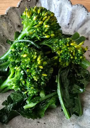 ブロッコリーのスチーム　🥦-レシピのメイン写真